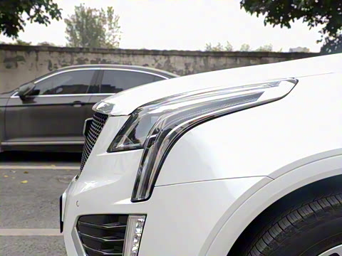 2021�� 28T ���������˶���