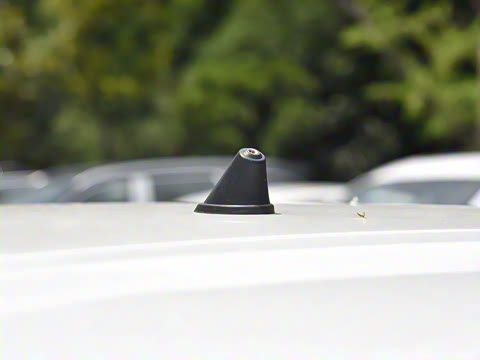 2025�� 205km Ԫ����