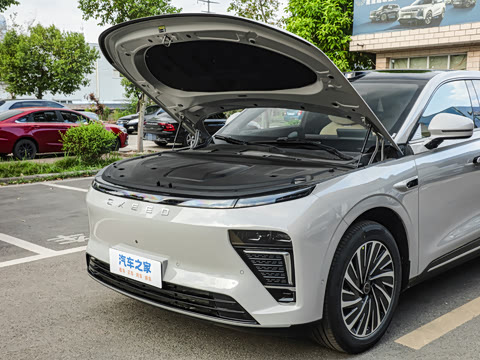 2025�� ���� 265 Max��������������ʻ