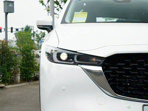 2025�� 2.0L �Զ���������Pro