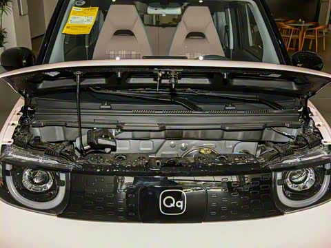 2025�� 205km ʥ����