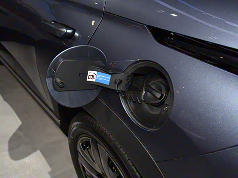 2025�� 135 �����ܼ����״��