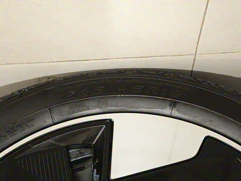 2025�� ������������ Plus