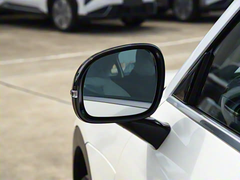 2026�� �鶯��������