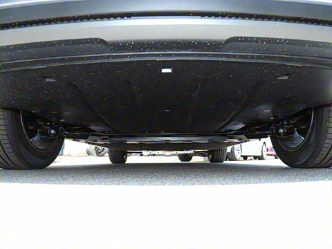 2025�� 445km ��ѡ��