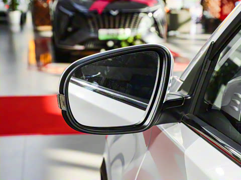 2025�� 1.5L �ֶ����ʰ�