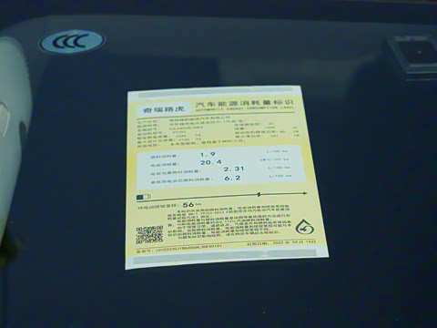 2022�� ����L P300e ���ʽ�綯��ϰ�