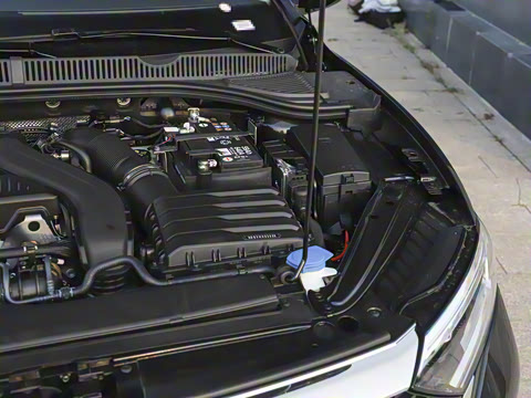 2025�� �Ŀ��� 300TSI DSG��Խ��