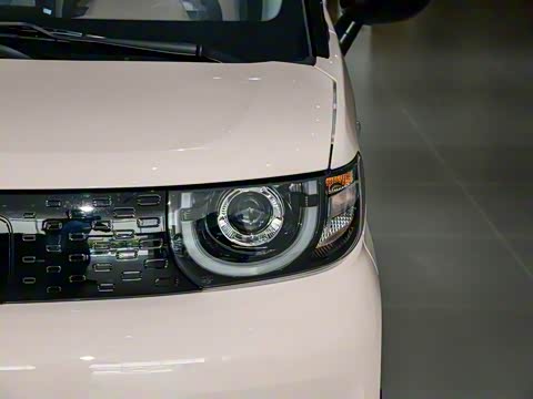 2025�� 205km ʥ����