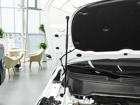 2026�� 165km ������������Max 7��