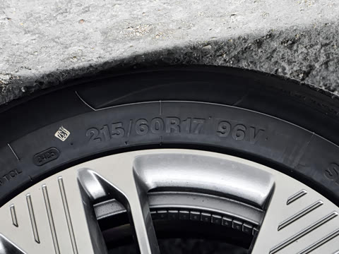 2025�� 445km ��ѡ��