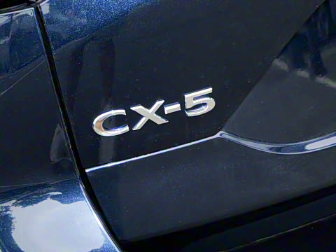 2025�� 2.0L �Զ�����������