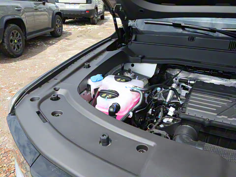 2025�� 226km ��Խ