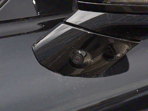 2025�� 725 �������� Max