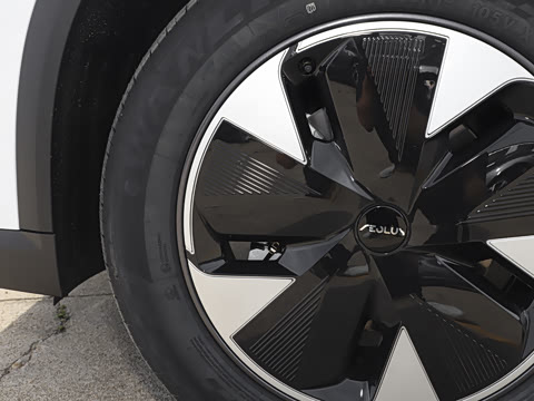 2025�� 205��������������