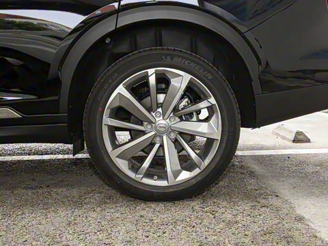 2020�� 390T �������棨������