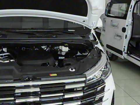 2025�� MAX 2.0T �Զ������� ���� 7��