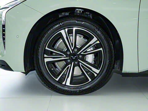 2025�� 690 ��ѡ��