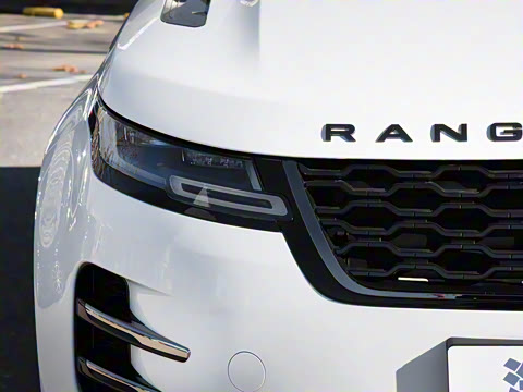 2021�� ����L P300e ������