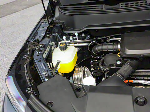 2026�� 165km ������������ 7��