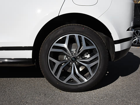 2021�� ����L P300e ������