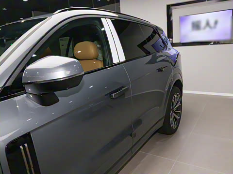 2025�� 2.0TD EM-P ����Max ����