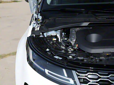 2022�� ����L P300e ���ʽ�綯��ϰ�