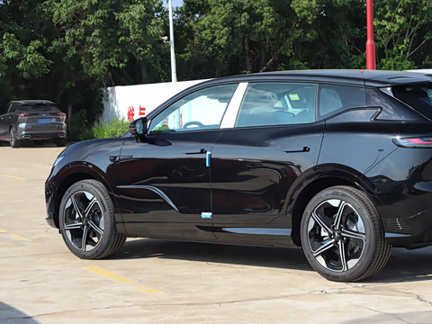 2024�� ������������