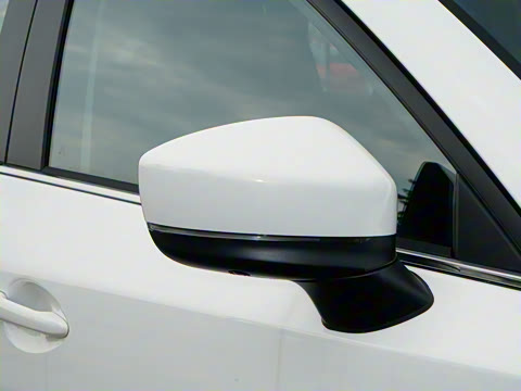 2025�� 2.0L �Զ���������Pro