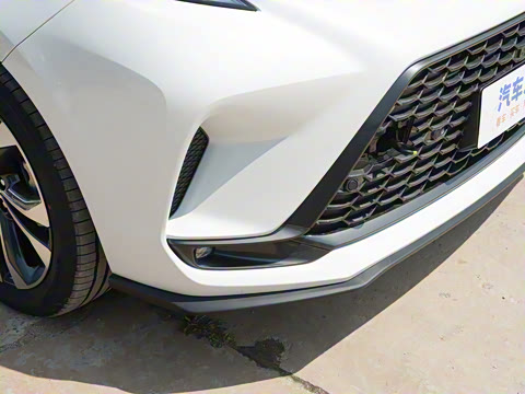 2023�� 2.5L�춯 ���PLUS��