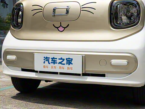 2025�� 222km �鶯��