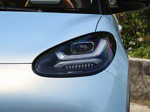 2025�� 333km ������