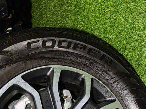 2025�� ̽�������Զ��� ����