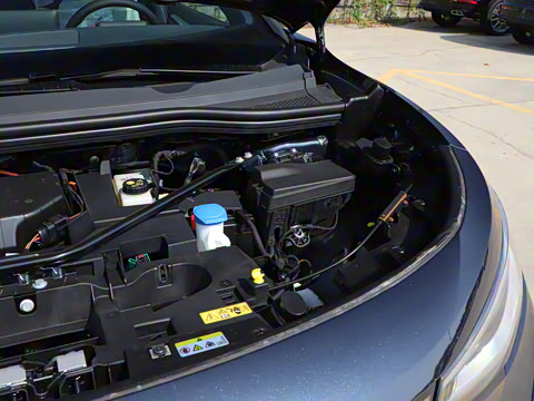 2025�� ������������ʿPRO��