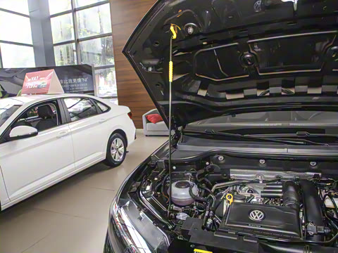 2025�� 280TSI �Զ�����Plus��