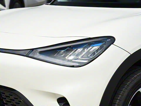 2026�� �鶯��������