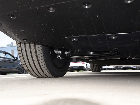 2025�� 725 �������� Max