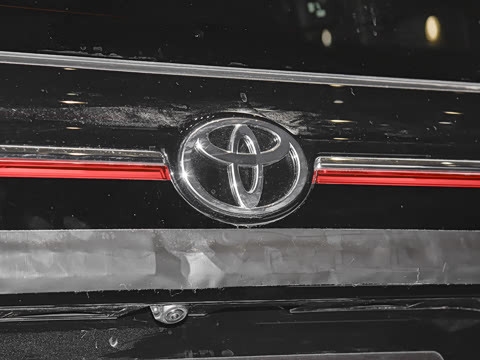 2024�� �ʹ� ˫�� 2.5L ����������