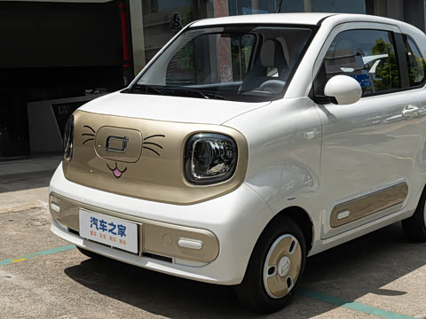 2025�� 222km �鶯��