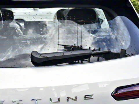 2025�� 445km ��ѡ��