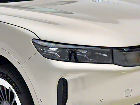 2025�� FREE+ ����Ǭ����