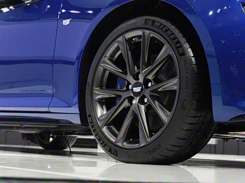 2020�� 28T �����˶���