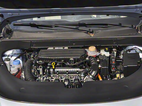 2025�� 235���� ������