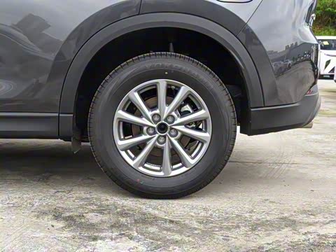 2025�� 2.0L �Զ���������Pro