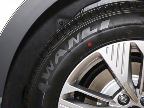 2025�� 565km ������