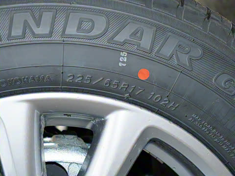 2025�� 2.0L �Զ���������Pro