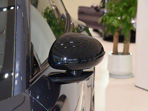 2025�� ������������������Max��