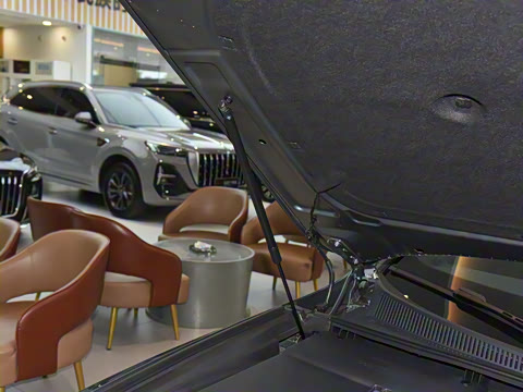 2025�� 2.0T ��������˽�����а� 5��