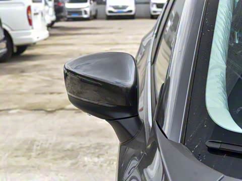 2025�� 2.0L �Զ���������Pro