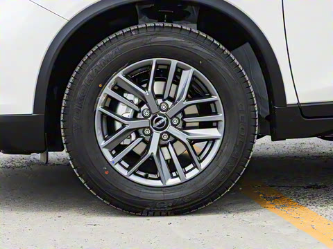 2025�� ���� 2.0L �������Ȱ�